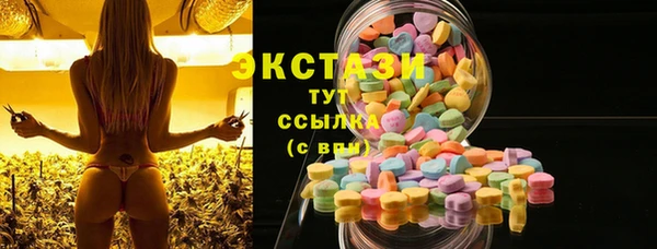 ECSTASY Богородицк